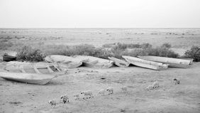 حقابه ایران و گستاخی همسایه