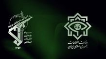 مشتِ دماب، نمونه‌ خروار ایران است