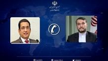 Iran to spare no efforts to help resolve Ukraine crisis: FM
