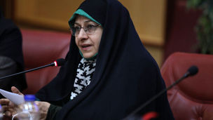 نگاه لایحه «امنیت زنان» دقیقا اسلامی و قرآنی است، نه فمینیستی 