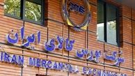 پذیرش تارا و ۲۰۷ دوباره در بورس کالا