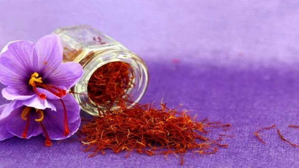 Iran, Qatar sign world's largest saffron trade agreement